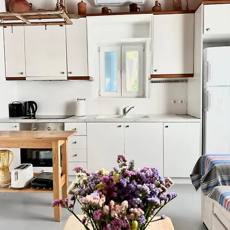 Spacious Traditional Mykonian House Holiday home *